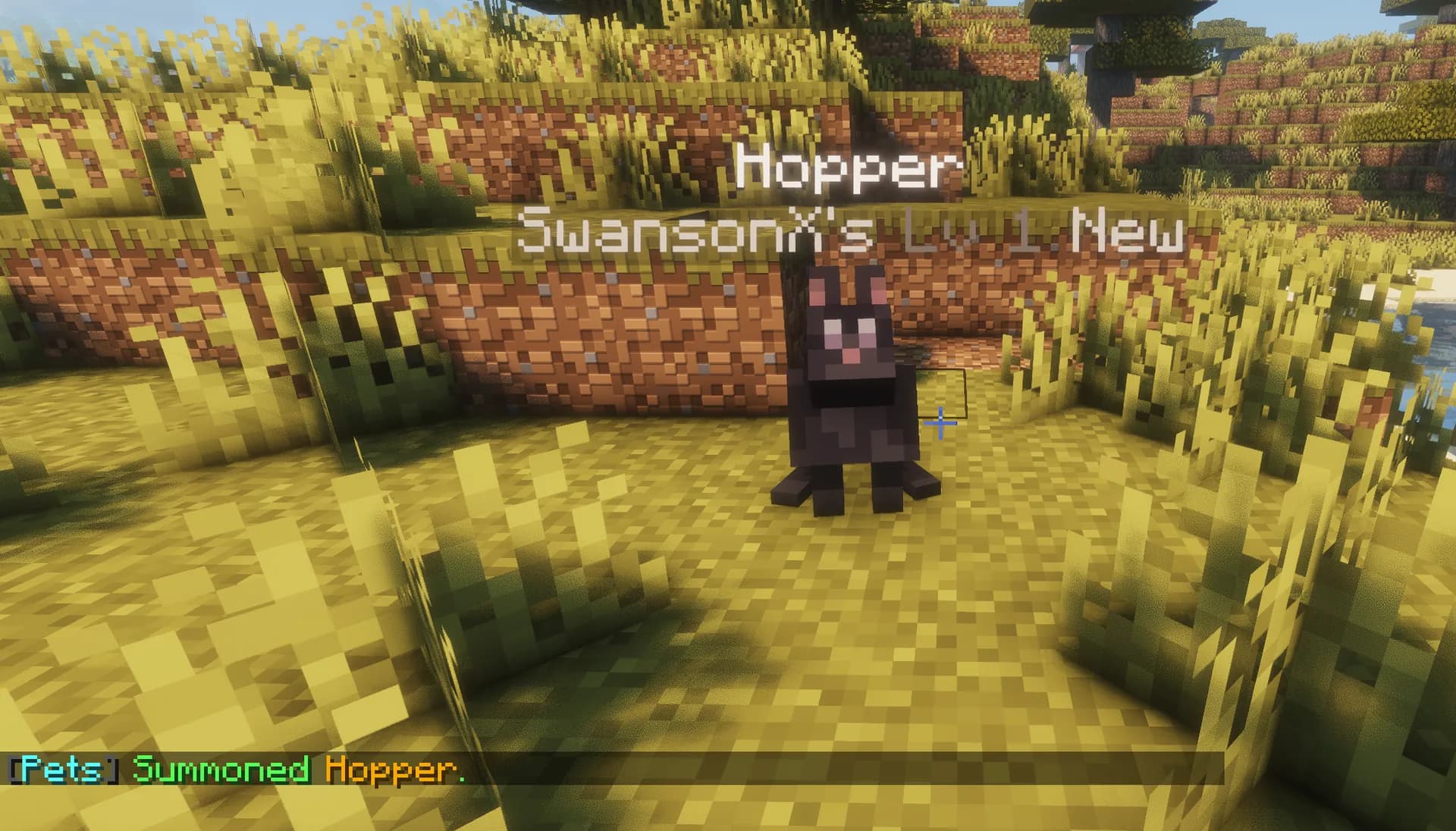PetCompanions running in game